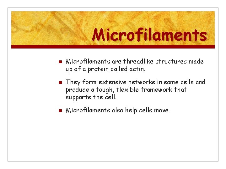 Microfilaments n n n Microfilaments are threadlike structures made up of a protein called