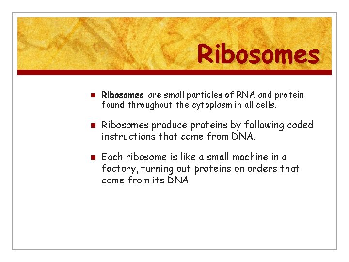 Ribosomes n n n Ribosomes are small particles of RNA and protein found throughout