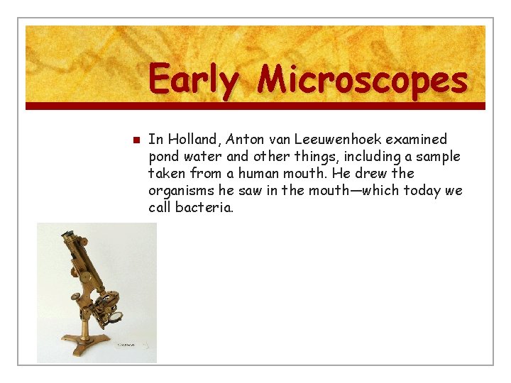 Early Microscopes n In Holland, Anton van Leeuwenhoek examined pond water and other things,