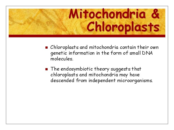 Mitochondria & Chloroplasts n n Chloroplasts and mitochondria contain their own genetic information in