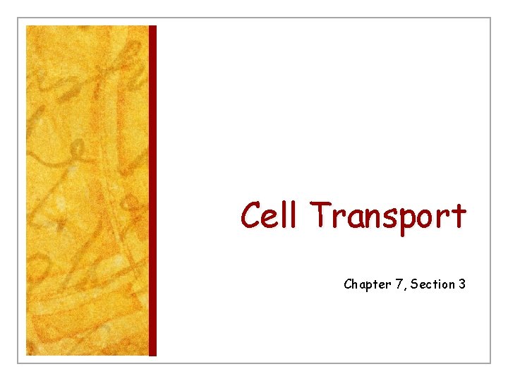 Cell Transport Chapter 7, Section 3 