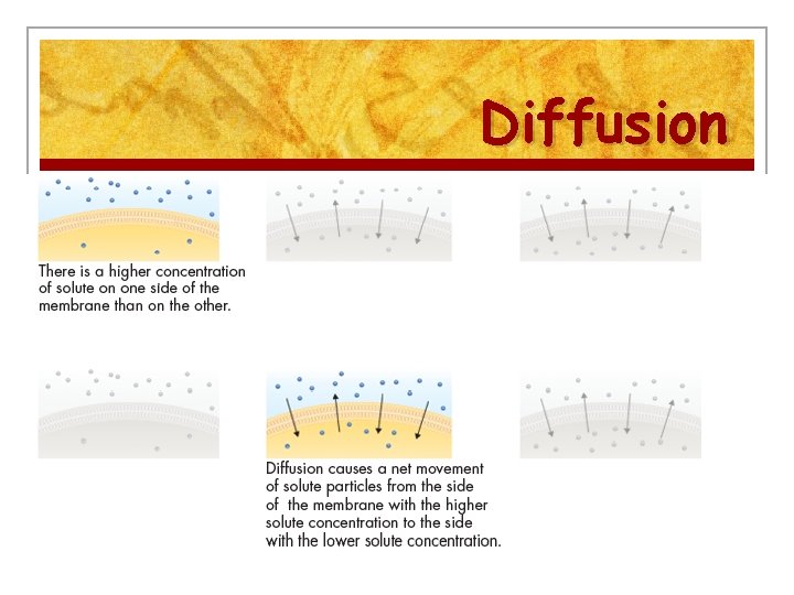 Diffusion 