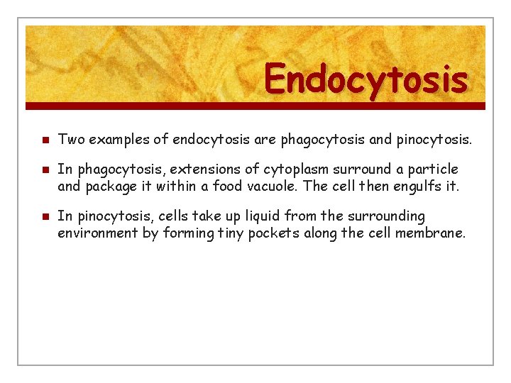 Endocytosis n n n Two examples of endocytosis are phagocytosis and pinocytosis. In phagocytosis,