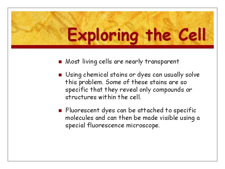 Exploring the Cell n n n Most living cells are nearly transparent Using chemical