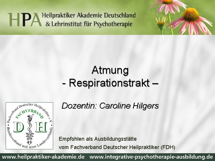 Atmung - Respirationstrakt – Dozentin: Caroline Hilgers Empfohlen als Ausbildungsstätte vom Fachverband Deutscher Heilpraktiker