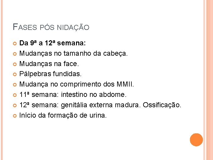 FASES PÓS NIDAÇÃO Da 9ª a 12ª semana: Mudanças no tamanho da cabeça. Mudanças