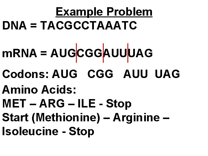 Example Problem DNA = TACGCCTAAATC m. RNA = AUGCGGAUUUAG Codons: AUG CGG AUU UAG