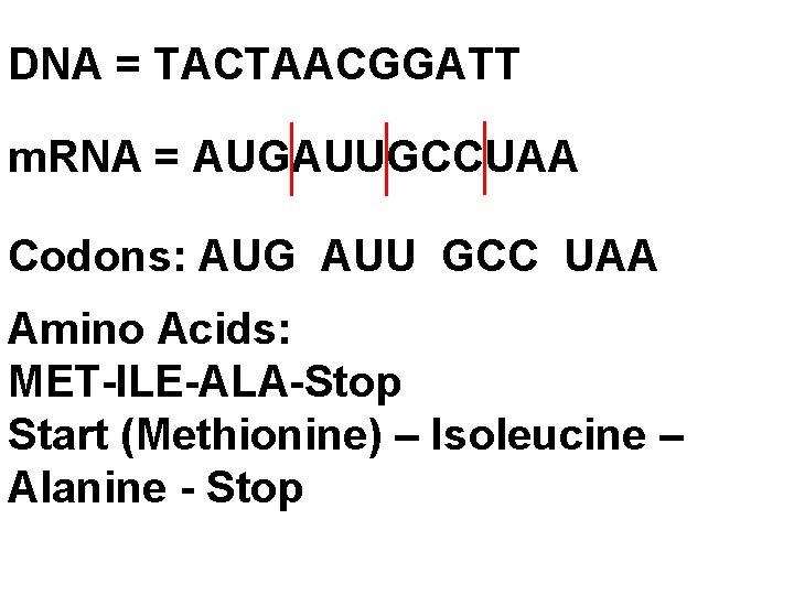 DNA = TACTAACGGATT m. RNA = AUGAUUGCCUAA Codons: AUG AUU GCC UAA Amino Acids: