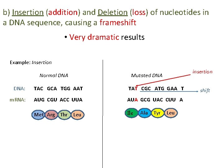 b) Insertion (addition) and Deletion (loss) of nucleotides in a DNA sequence, causing a