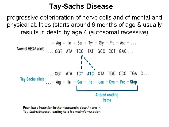 Tay-Sachs Disease progressive deterioration of nerve cells and of mental and physical abilities (starts