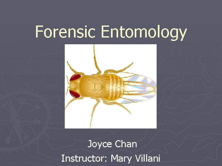 Forensic Entomology Joyce Chan Instructor: Mary Villani 