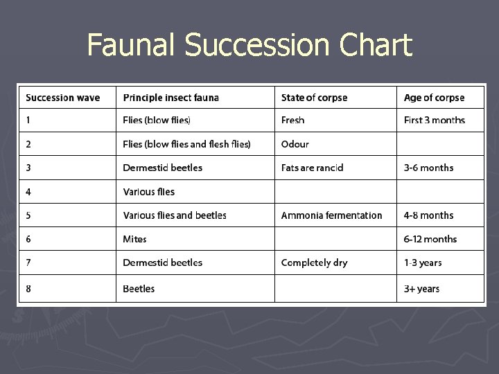 Faunal Succession Chart 