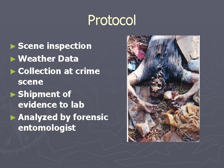 Protocol ► Scene inspection ► Weather Data ► Collection at crime scene ► Shipment