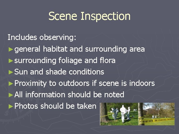 Scene Inspection Includes observing: ► general habitat and surrounding area ► surrounding foliage and