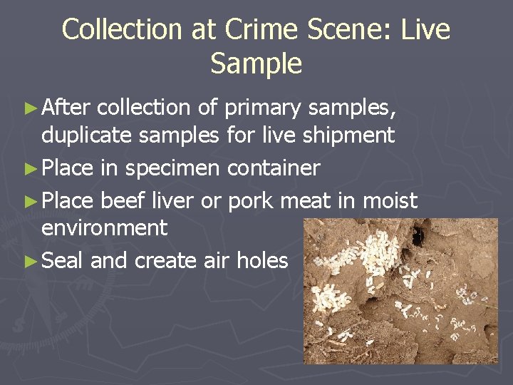 Collection at Crime Scene: Live Sample ► After collection of primary samples, duplicate samples