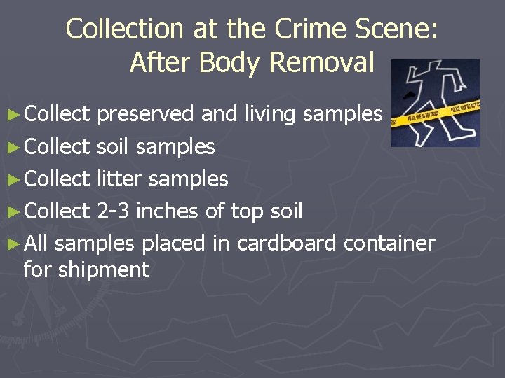 Collection at the Crime Scene: After Body Removal ► Collect preserved and living samples