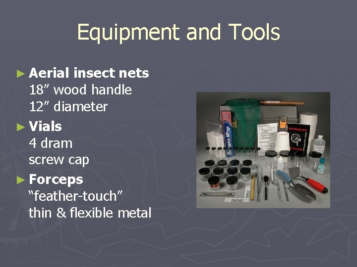 Equipment and Tools ► Aerial insect nets 18” wood handle 12” diameter ► Vials