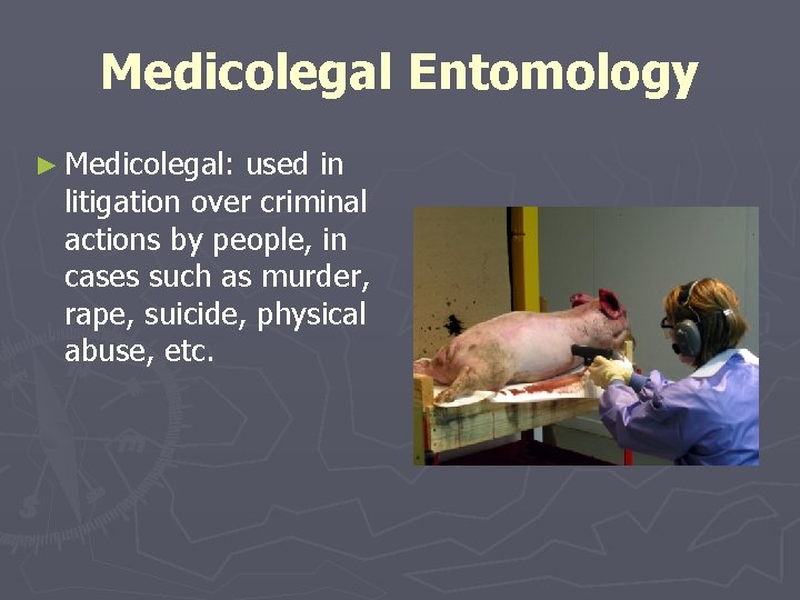 Medicolegal Entomology ► Medicolegal: used in litigation over criminal actions by people, in cases