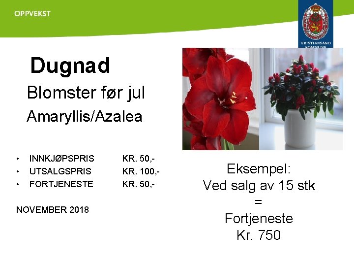 Dugnad Blomster før jul Amaryllis/Azalea • INNKJØPSPRIS • UTSALGSPRIS • FORTJENESTE NOVEMBER 2018 KR.