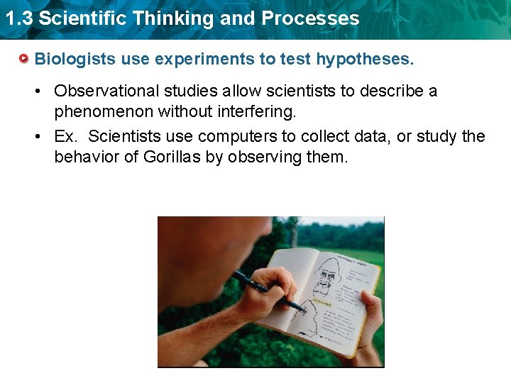 1. 3 Scientific Thinking and Processes Biologists use experiments to test hypotheses. • Observational