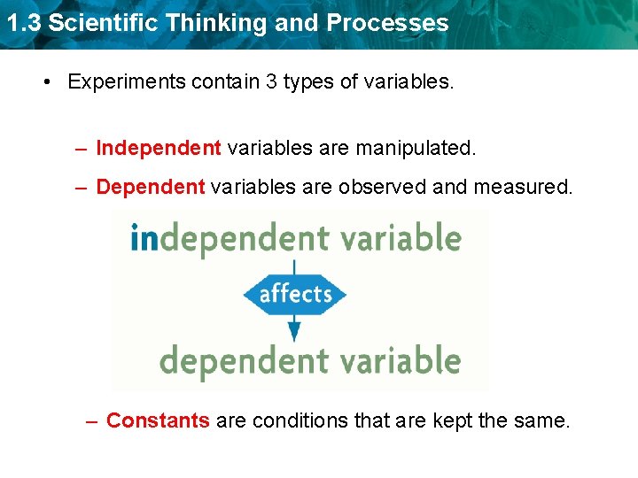 1. 3 Scientific Thinking and Processes • Experiments contain 3 types of variables. –