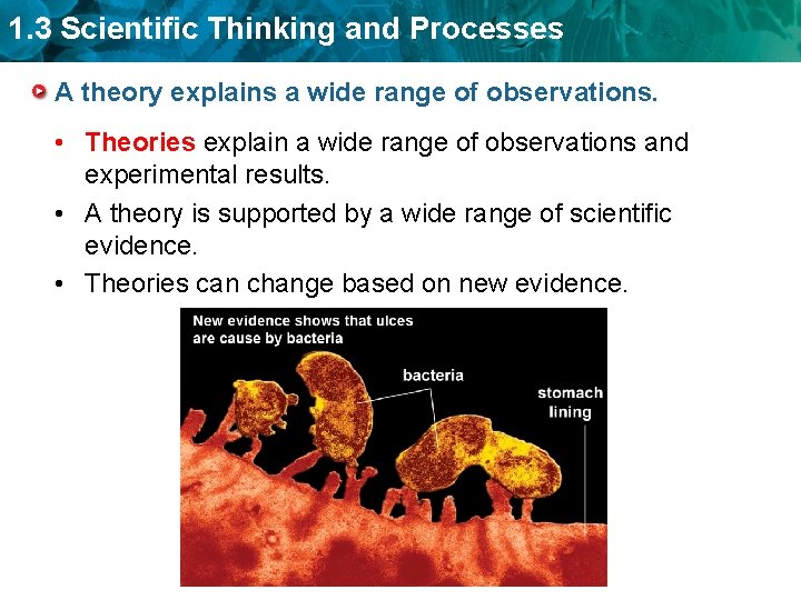 1. 3 Scientific Thinking and Processes A theory explains a wide range of observations.