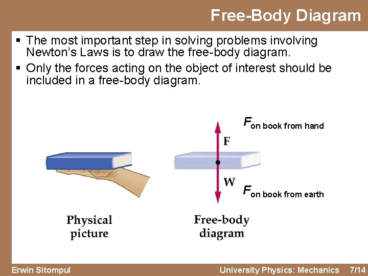 Free-Body Diagram § The most important step in solving problems involving Newton’s Laws is
