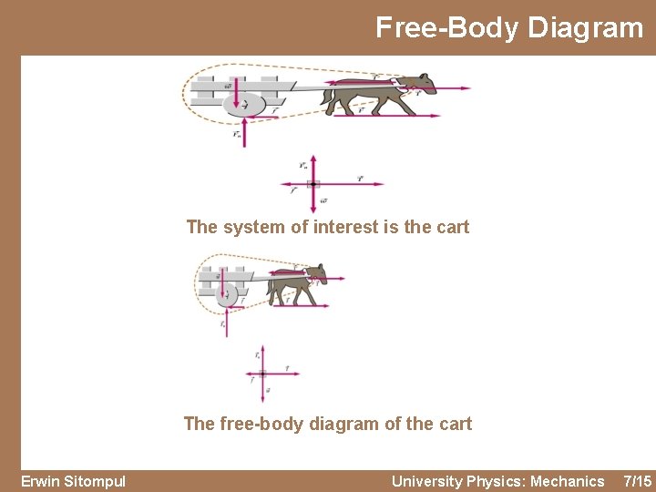 Free-Body Diagram The system of interest is the cart The free-body diagram of the