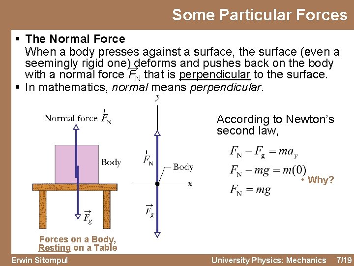 Some Particular Forces § The Normal Force When a body presses against a surface,