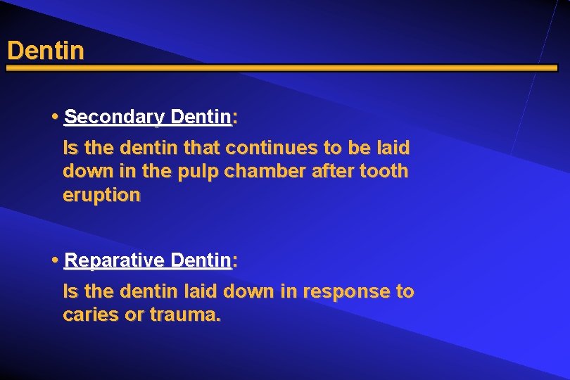 Dentin • Secondary Dentin: Is the dentin that continues to be laid down in