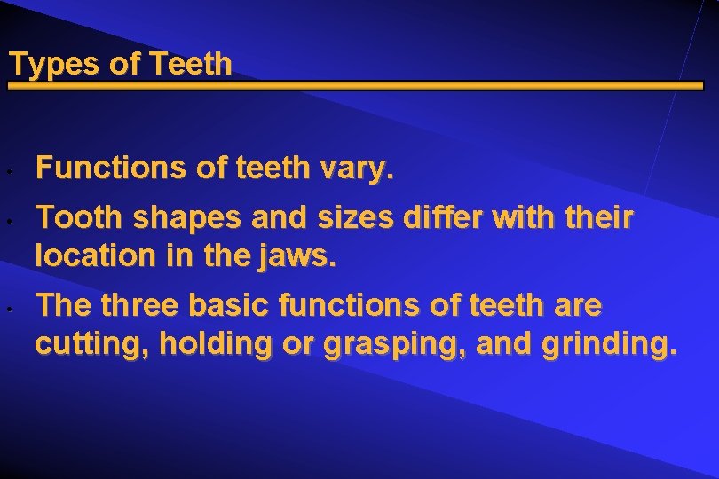 Types of Teeth • • • Functions of teeth vary. Tooth shapes and sizes