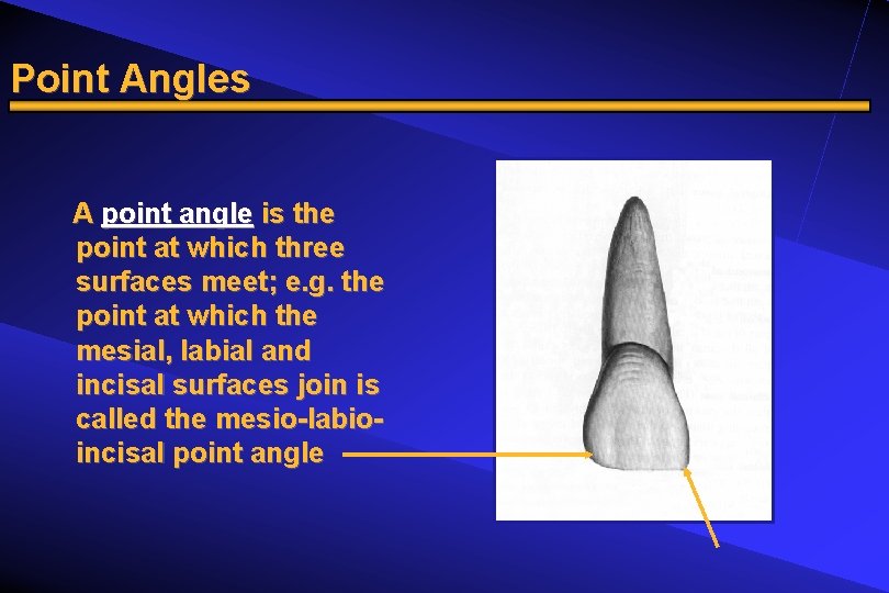 Point Angles A point angle is the point at which three surfaces meet; e.