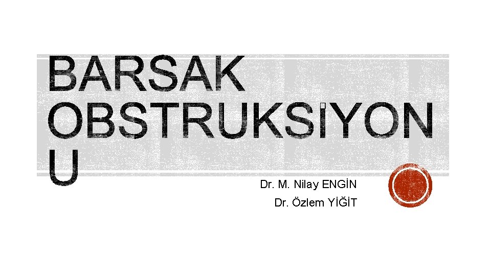 Dr. M. Nilay ENGİN Dr. Özlem YİĞİT 