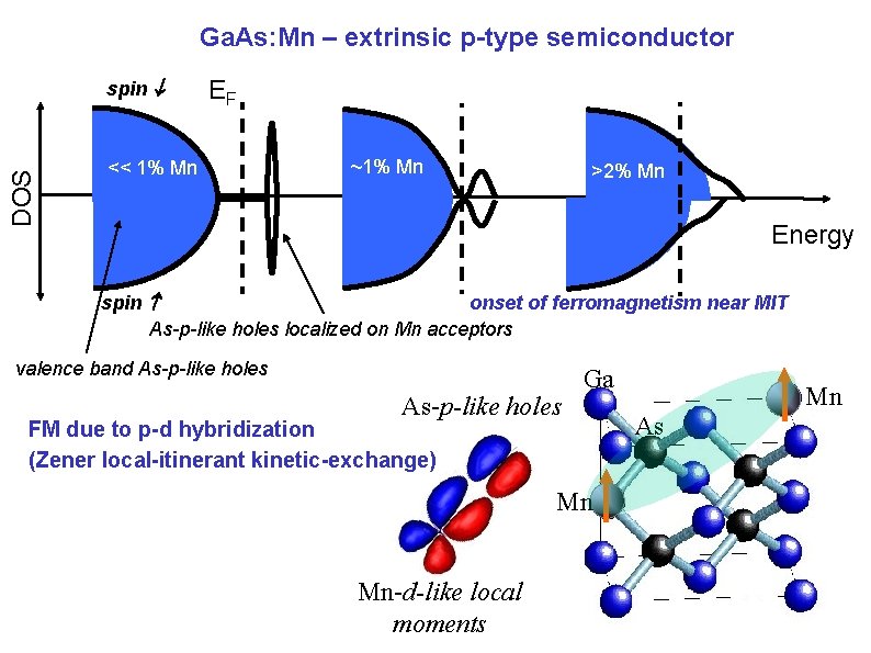 Ga. As: Mn – extrinsic p-type semiconductor DOS spin EF << 1% Mn ~1%