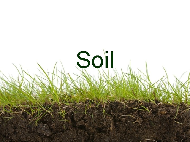 Soil 