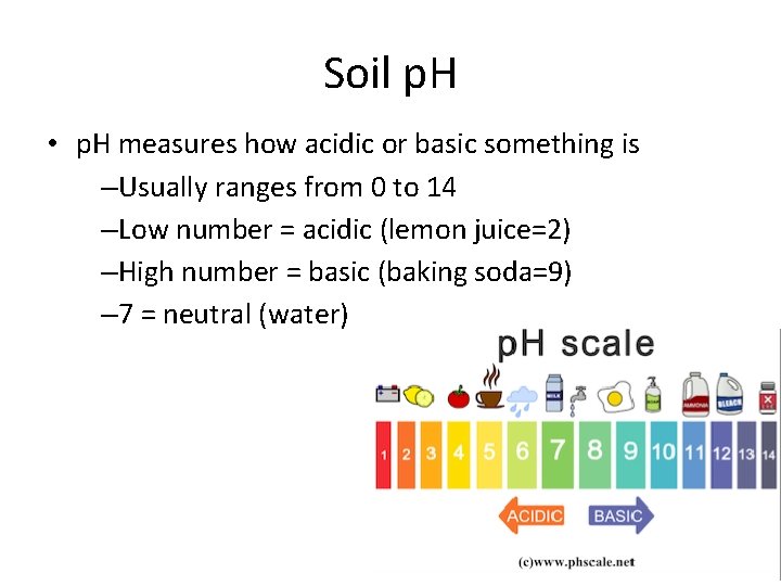 Soil p. H • p. H measures how acidic or basic something is –Usually