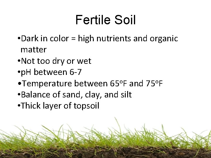 Fertile Soil • Dark in color = high nutrients and organic matter • Not