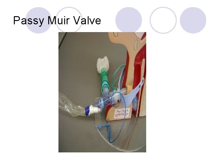 Passy Muir Valve 