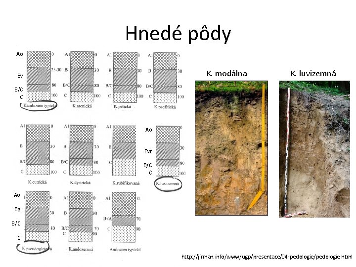 Hnedé pôdy Ao K. modálna Bv K. luvizemná B/C C Ao Bvt B/C C