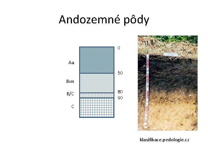 Andozemné pôdy 0 Aa 50 Bvn B/C 80 90 C klasifikace. pedologie. cz 