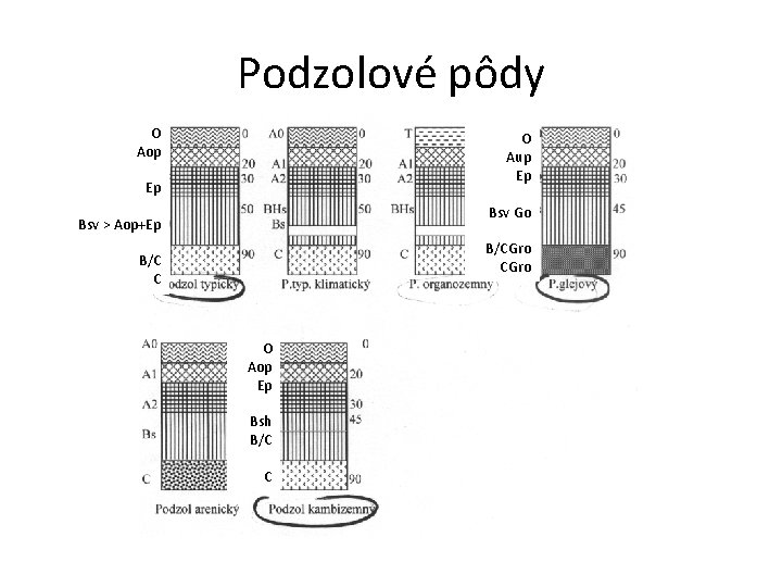 Podzolové pôdy O Aop O Aup Ep Ep Bsv Go Bsv > Aop+Ep B/CGro