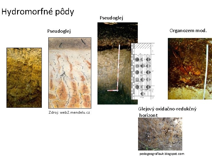 Hydromorfné pôdy Pseudoglej Zdroj: web 2. mendelu. cz Pseudoglej Organozem mod. Glejový oxidačno-redukčný horizont