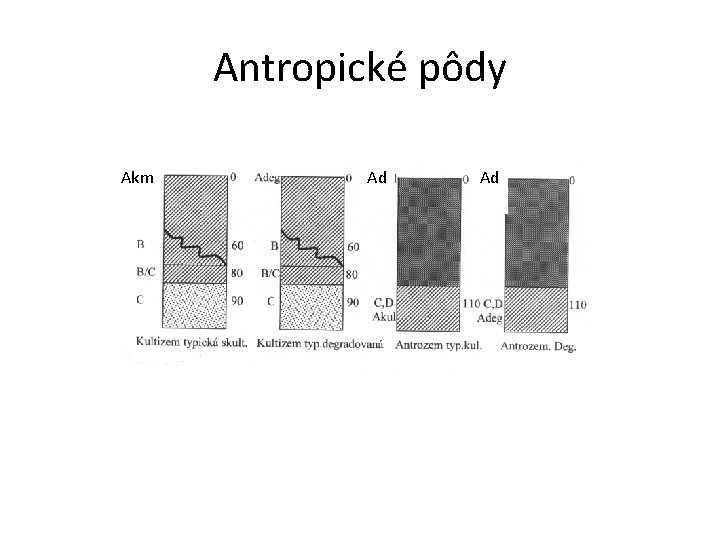 Antropické pôdy Akm Ad Ad 