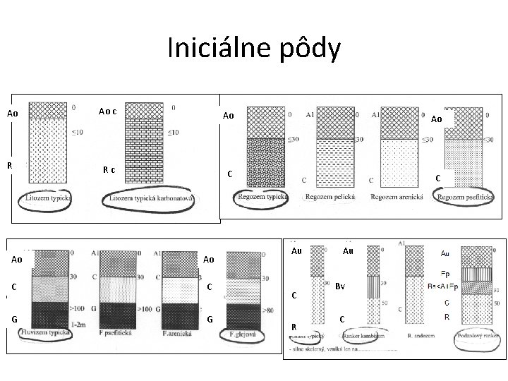 Iniciálne pôdy Ao Ao c Ao Ao R Rc C C Ao Ao C