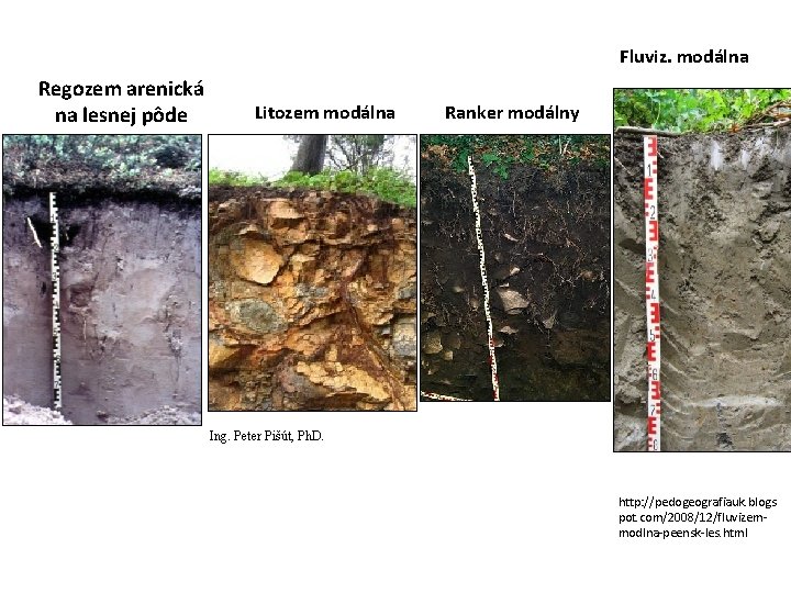 Fluviz. modálna Regozem arenická na lesnej pôde Litozem modálna Ranker modálny Ing. Peter Pišút,