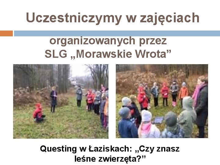 Uczestniczymy w zajęciach organizowanych przez SLG „Morawskie Wrota” Questing w Łaziskach: „Czy znasz leśne