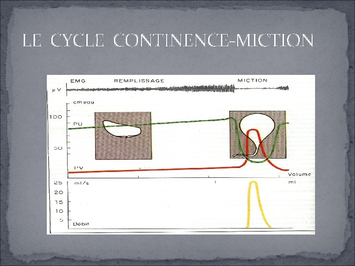 LE CYCLE CONTINENCE-MICTION é 2 2 LE CYCLE CONTINENCE-MICTION é 2 2