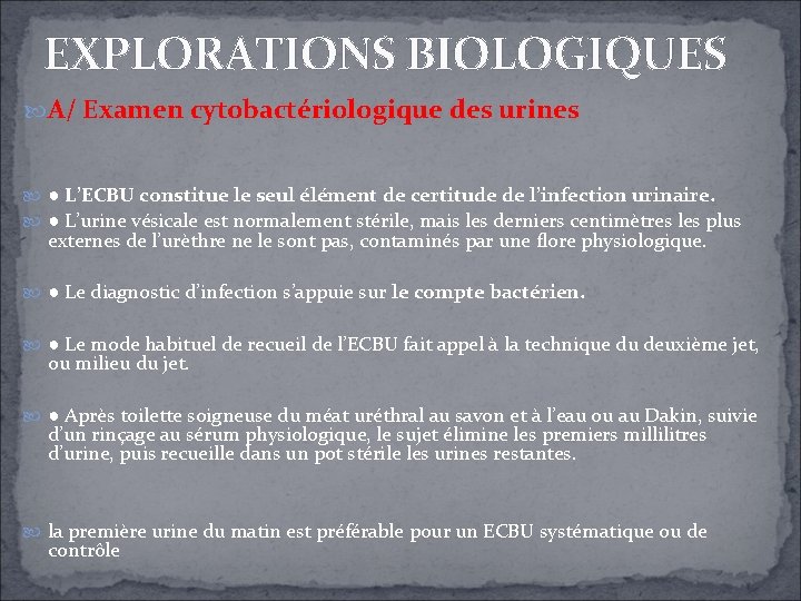EXPLORATIONS BIOLOGIQUES A/ Examen cytobactériologique des urines ● L’ECBU constitue le seul élément de EXPLORATIONS BIOLOGIQUES A/ Examen cytobactériologique des urines ● L’ECBU constitue le seul élément de