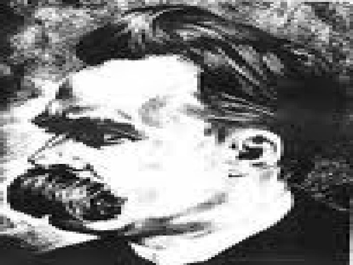 Nietzsche 1889'un başlarında sokakta yürürken birden yere düştü. Uzmanlara göre bunun sebebi "sifilis". Nietzsche'nin