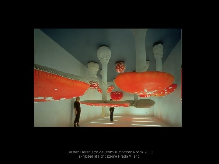 Carsten Höller, Upside Down Mushroom Room, 2000 exhibited at Fondazione Prada Milano. 